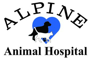 Home | Veterinarian in Coeur d'Alene, ID | Alpine Animal Hospital